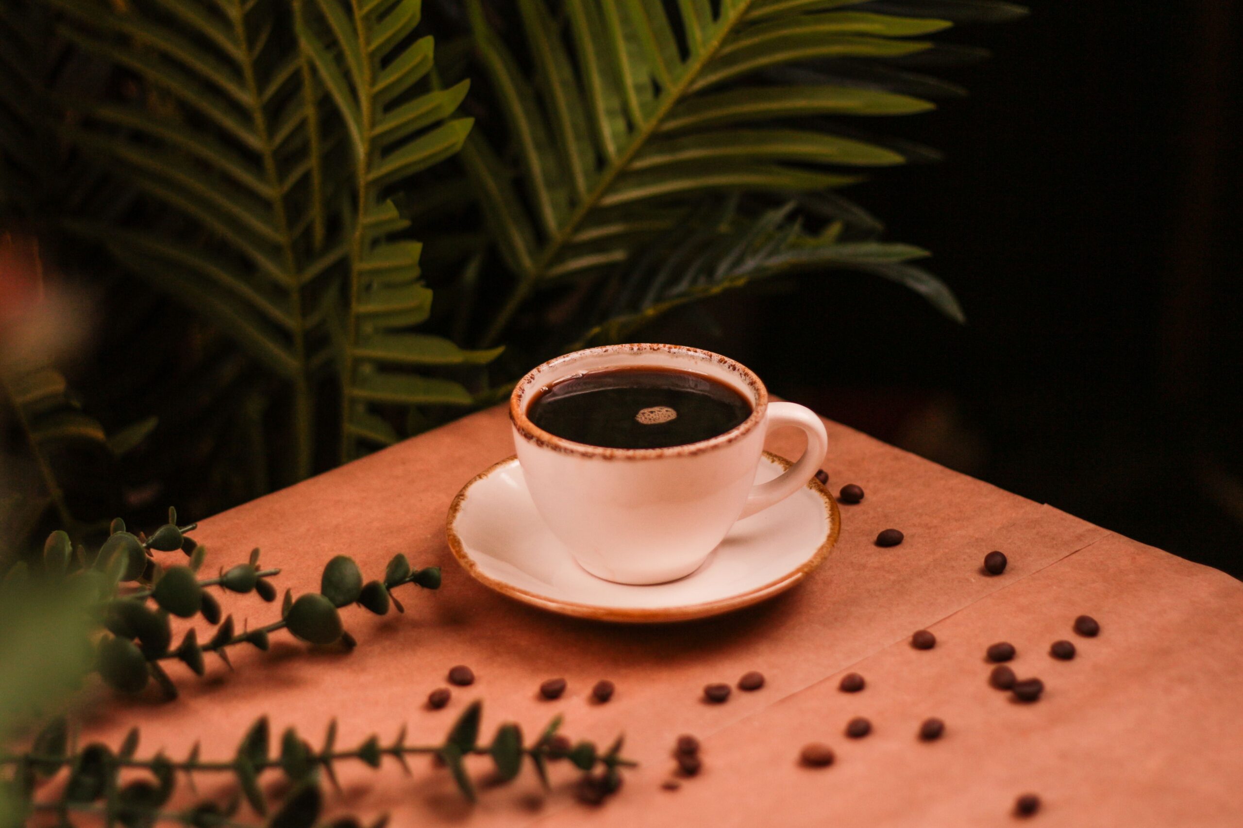 Whole Bean vs Ground Coffee: Which Should You Buy?